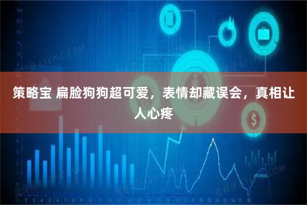 策略宝 扁脸狗狗超可爱，表情却藏误会，真相让人心疼