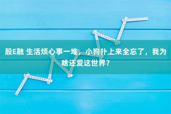 股E融 生活烦心事一堆，小狗扑上来全忘了，我为啥还爱这世界？