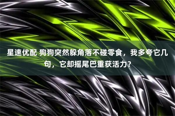 星速优配 狗狗突然躲角落不碰零食，我多夸它几句，它却摇尾巴重获活力？